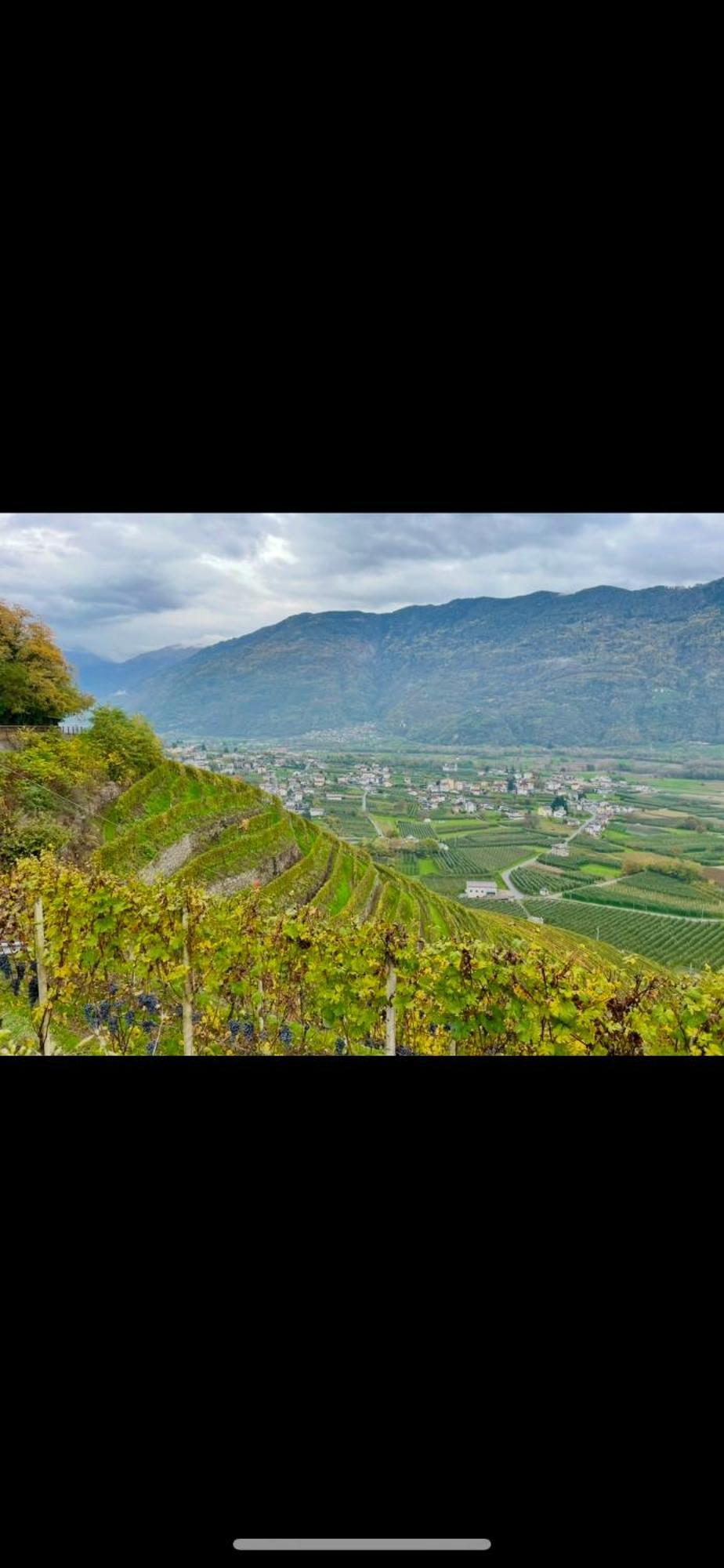 Hotel Ca Marasciol A 5 Minuti Dal Trenino Rosso Del Bernina Express à Villa di Tirano Extérieur photo